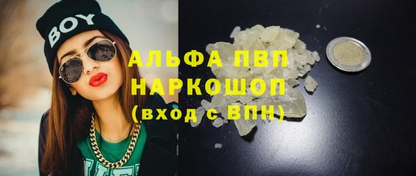 прущий лед Карпинск