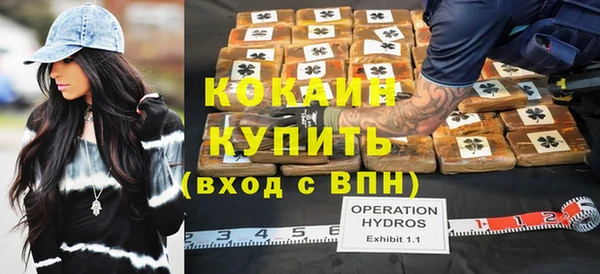 гашик Новозыбков