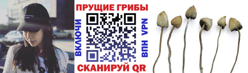 Псилоцибиновые грибы Magic Shrooms  Калининск 